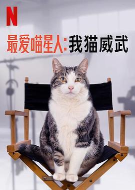 讲述猫中乔治克鲁尼的故事#最爱喵星人：我猫威武